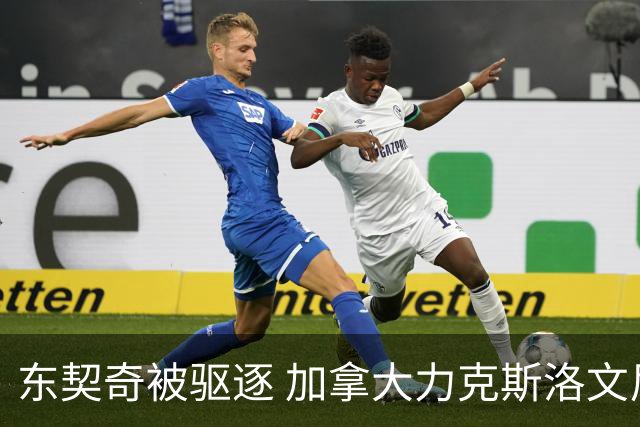东契奇被驱逐 加拿大力克斯洛文尼亚晋级四强
